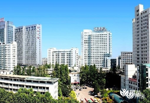 华中科技大学同济医学院