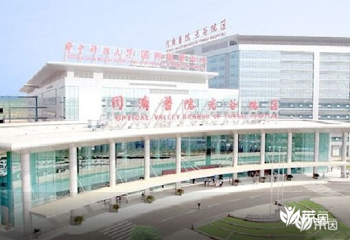 华中科技大学同济医学院