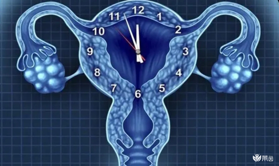 Amh值0.34怀孕指南：试管助孕+科学调理双管齐下