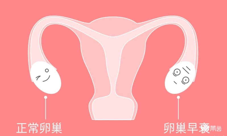 amh值0.02想要提高怀孕的机会。试管婴儿不是唯一的手段。