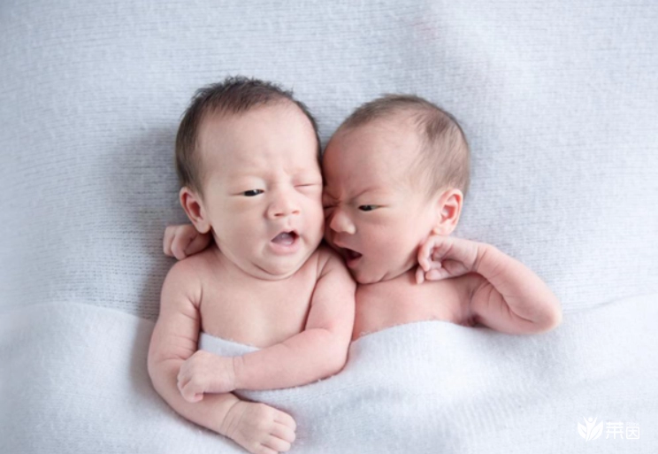 泰国试管婴儿可以选择双胞胎吗？儿女双全并不是梦