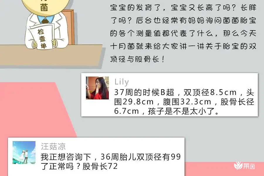 双顶径股骨长看男女的公式要用双顶径减掉股骨长