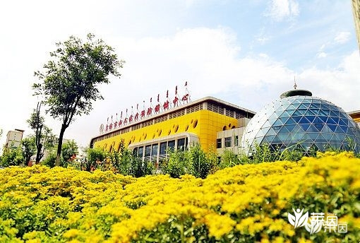 乌海市妇幼保健院 乌海市妇幼保健院