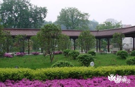 南京医科大学第二附属医院 南京医科大学第二附属医院