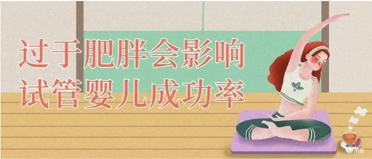 肥胖做试管婴儿有影响吗和胚胎移植后如何配合