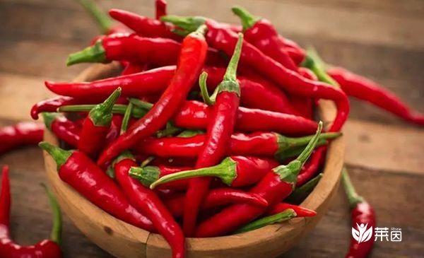 辣椒可降低血脂