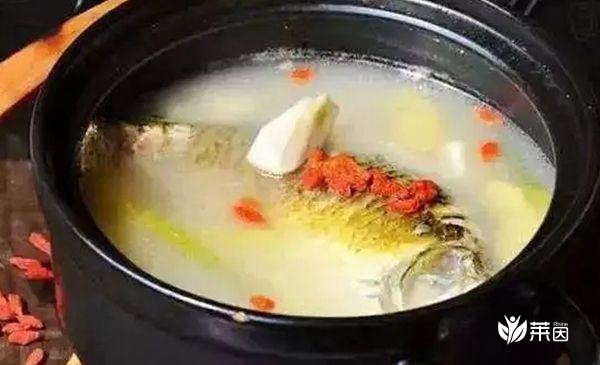 谁说怀孕吃黄河大鲤鱼汤不能止孕吐，怎么做才是关键