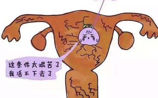 女性子宫里面的环境对试管婴儿有着什么直接的影响